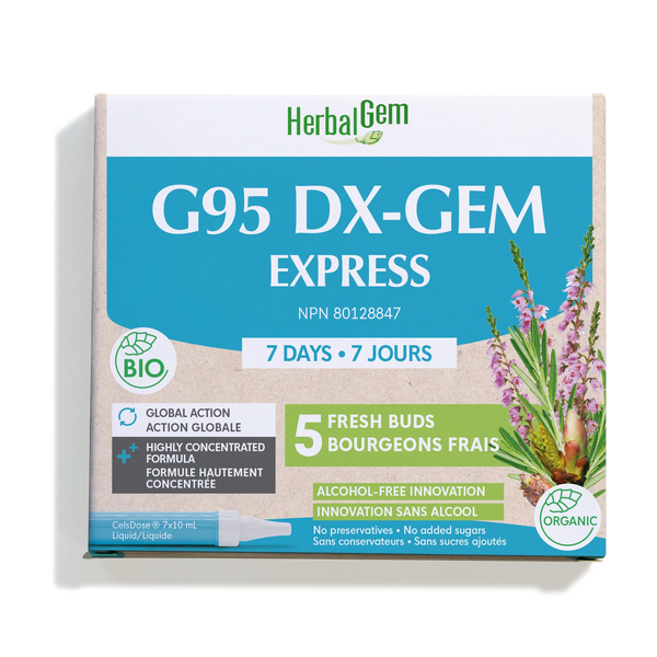 G95 DX-GEM EXPRESS